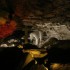 02 апреля  - Кунгурская пещера - Экскурсионное бюро "ВС-Тур Екатеринбург"